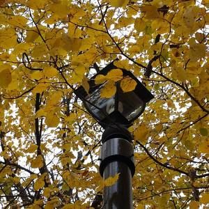 Meet your Posher, Jeanne